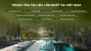 EcoVillage-Saigon-River-–-Ecopark-Nhon-Trach-Dong-Nai-truoc-nha-la-Quang-truong-va-Cong-vien